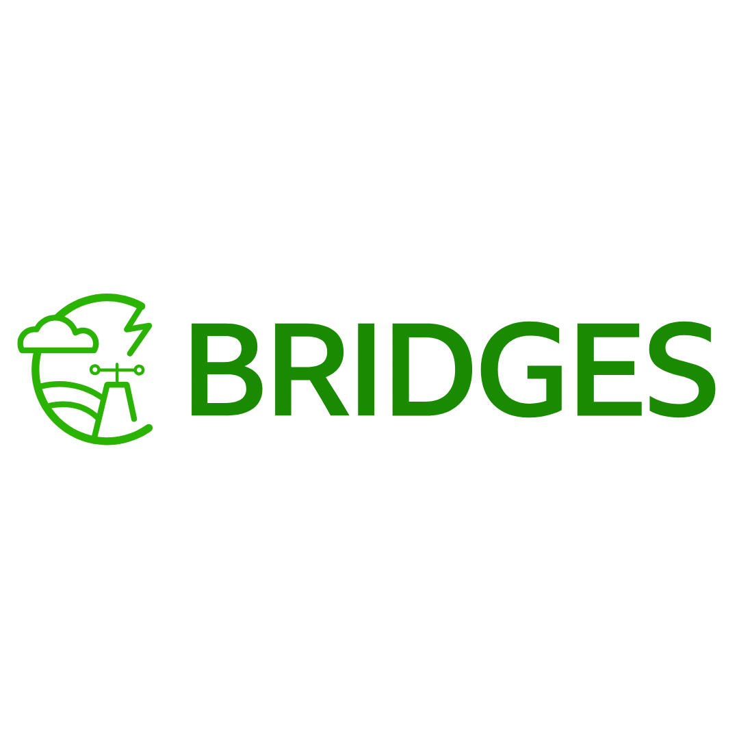 Bridges logo